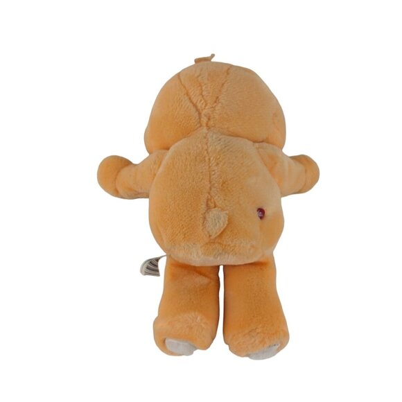Care Bears Friend Bear Plush Squeeze Hugging Arms Sunflowers Vintage 2004 - Picture 2 of 7
